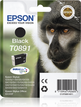 Epson T0891 Siyah Orjinal Kartuş